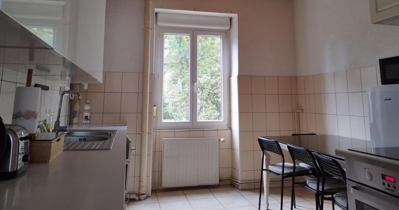 Le Thannois - Appartement 2 Chambres, Salon, Cuisine Equipee, Parking Et Wifi Gratuit Mulhouse Bagian luar foto