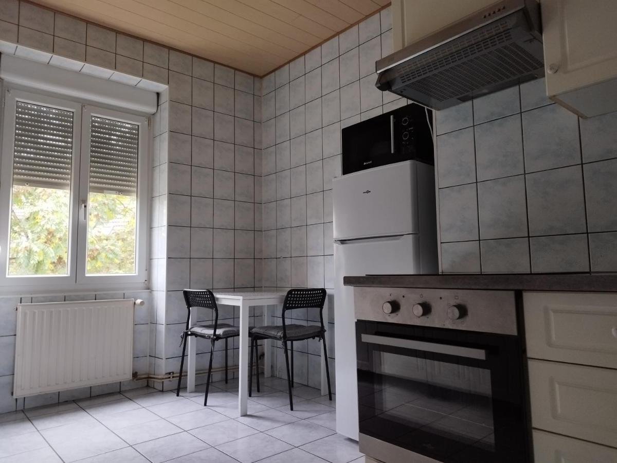 Le Thannois - Appartement 2 Chambres, Salon, Cuisine Equipee, Parking Et Wifi Gratuit Mulhouse Bagian luar foto