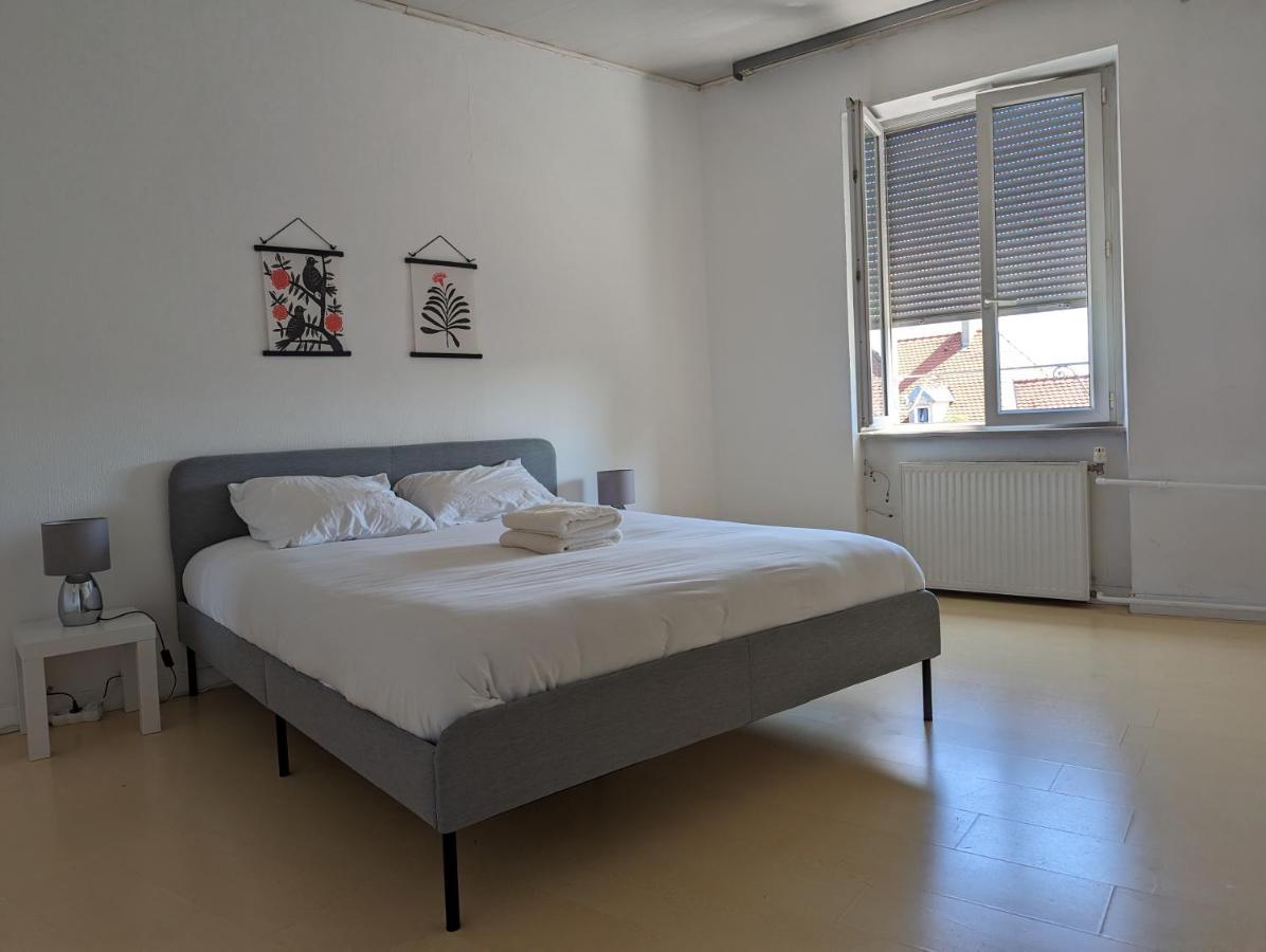 Le Thannois - Appartement 2 Chambres, Salon, Cuisine Equipee, Parking Et Wifi Gratuit Mulhouse Bagian luar foto